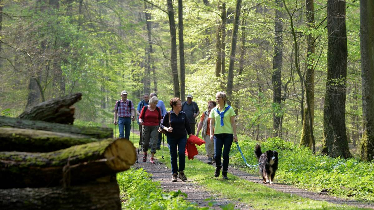 Wildnisgebiet Merschetal